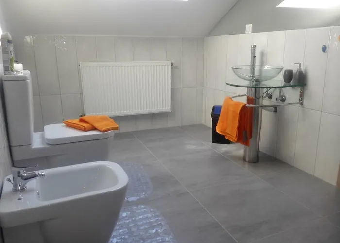 A. Einstein 9a * Клуж-Напока