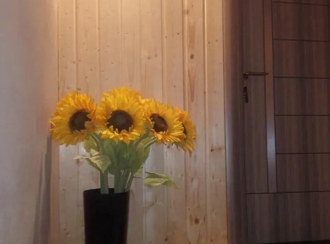 A. Einstein 9a Appartement Cluj-Napoca